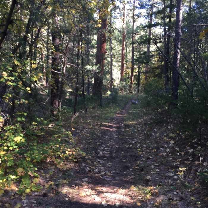 Near Fourth of July Loop