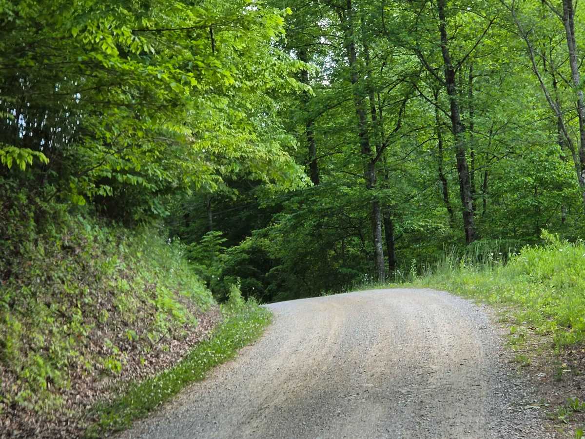 Stone Gap Road photo 3