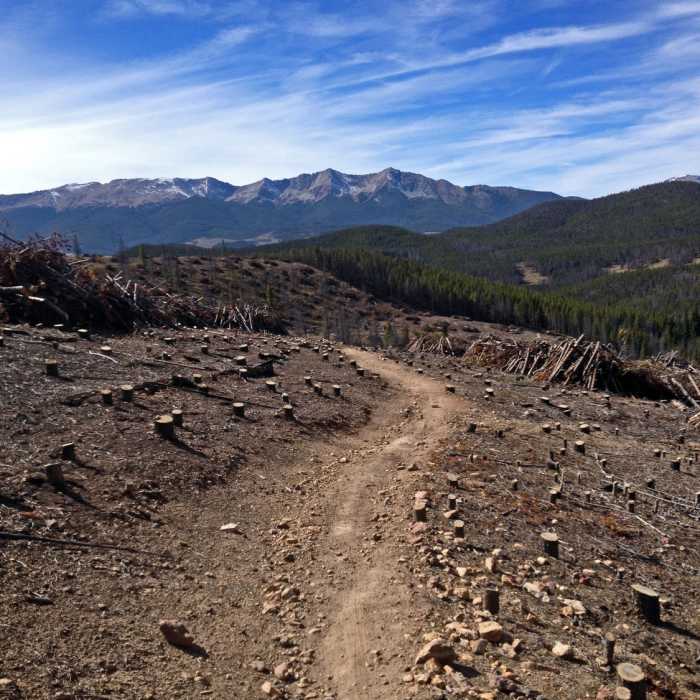 Near Colorado Trail: Georgia Pass to Breckenridge