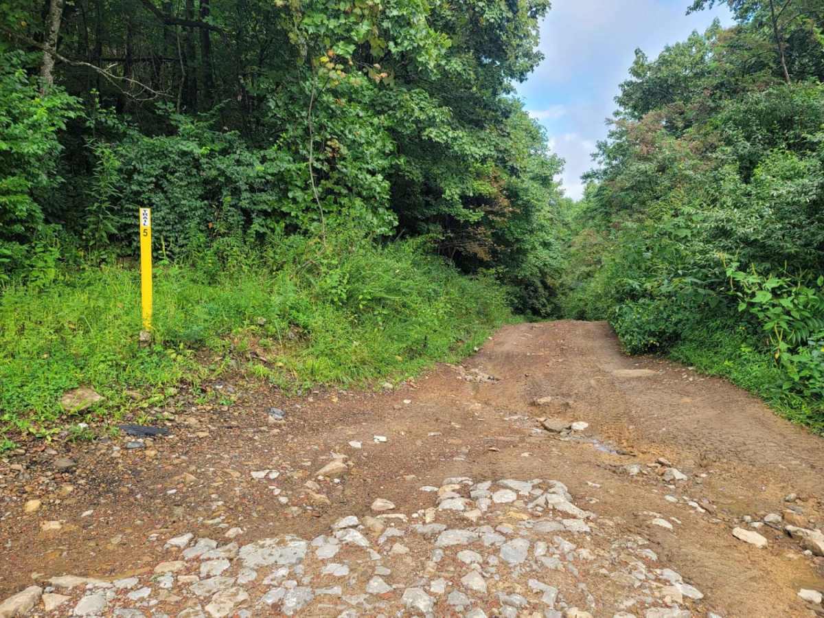 Trail 5 - Flat Gap photo 6