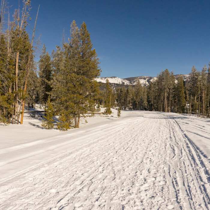 Near Redfish Lake Winter Hike