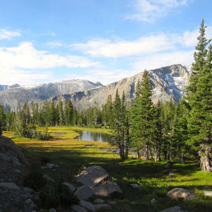 Near Mt. Alice via Hourglass Ridge