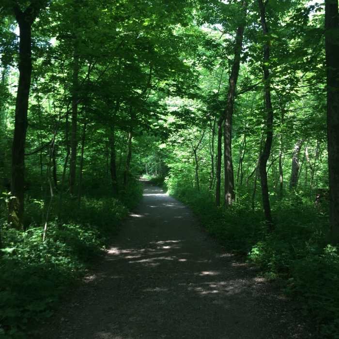 Near Sharon Woods Super Sampler