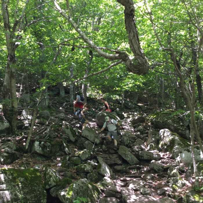 Near Giant Ledge-Panther-Fox Hollow Trail