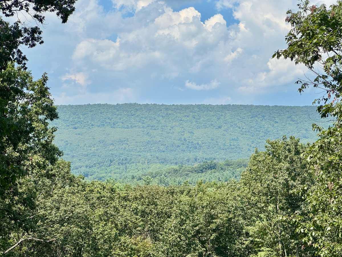 Hammond Road trail photo