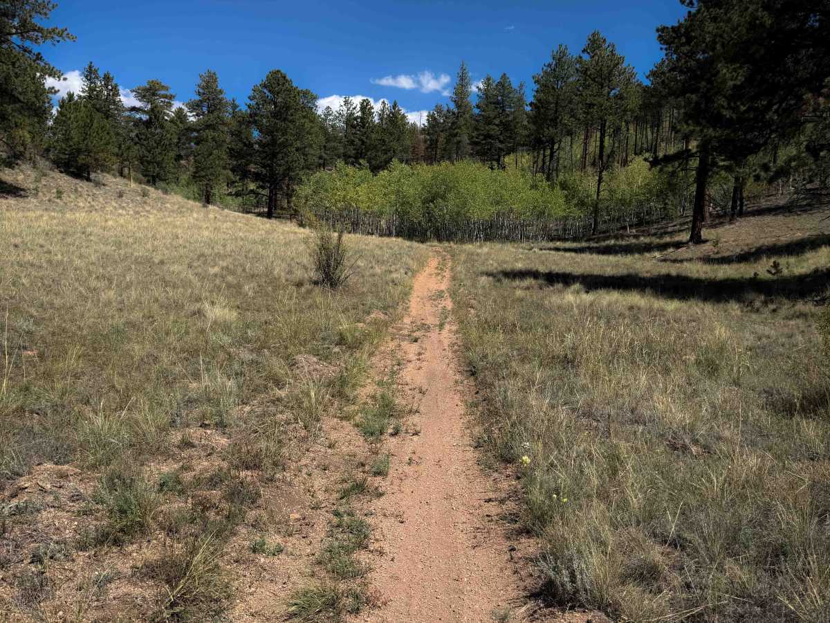 Ridge Trail 734  photo 6