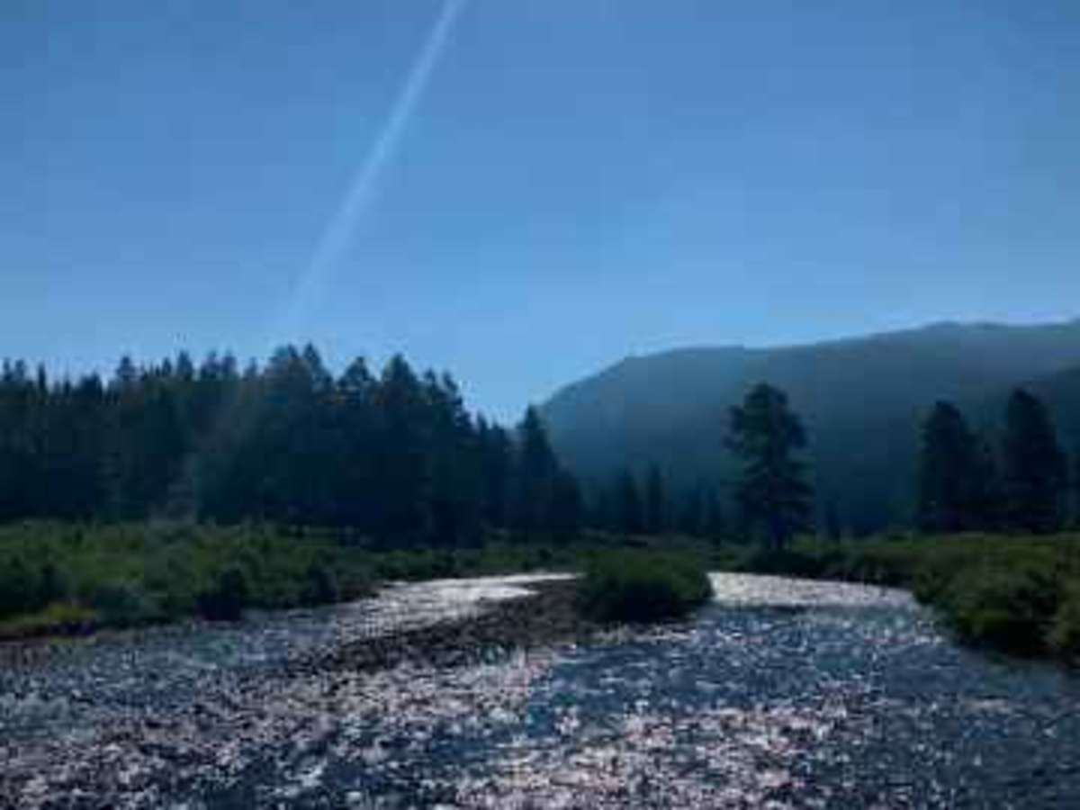 Texas Creek (FSR 755) trail photo