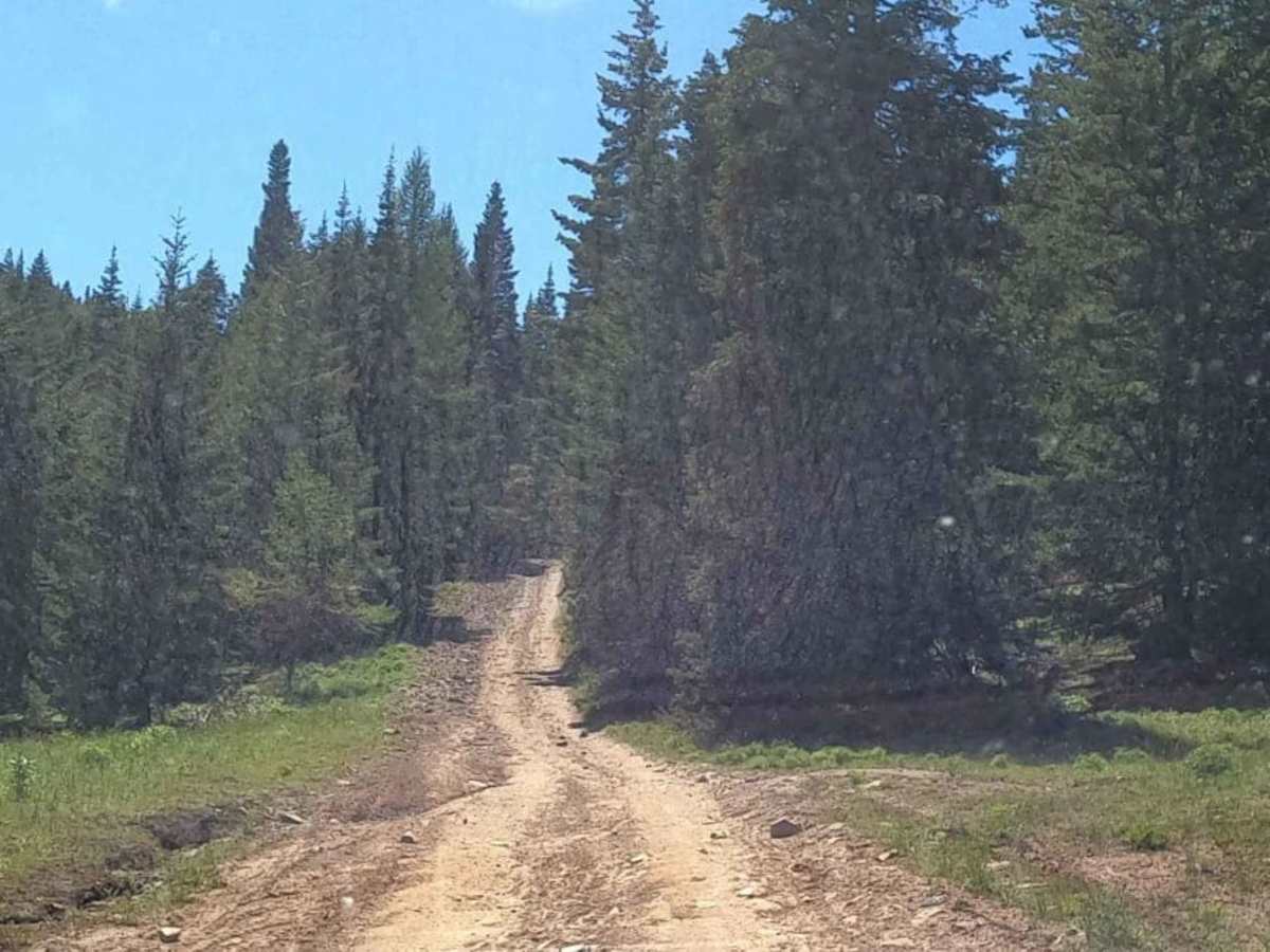 Barber Springs Road photo 4