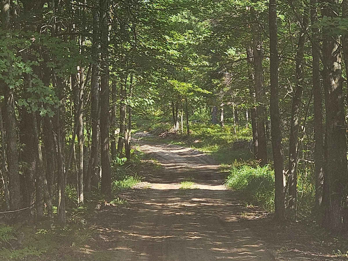 Dyer Lake Drive photo 4