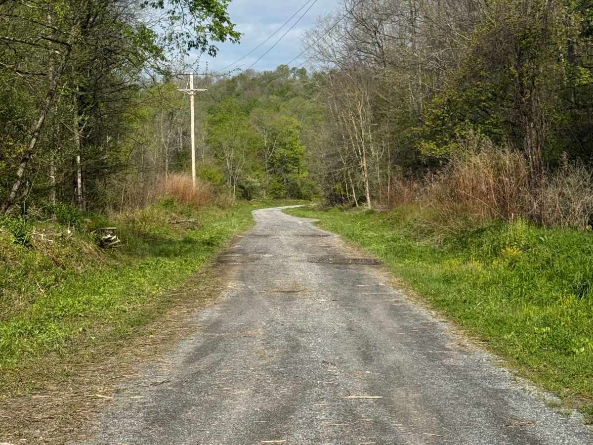 Bark Camp Road photo 2