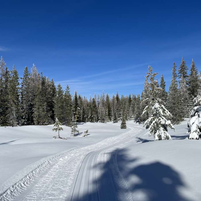 Near Wagon Wheel (Snow Trail)