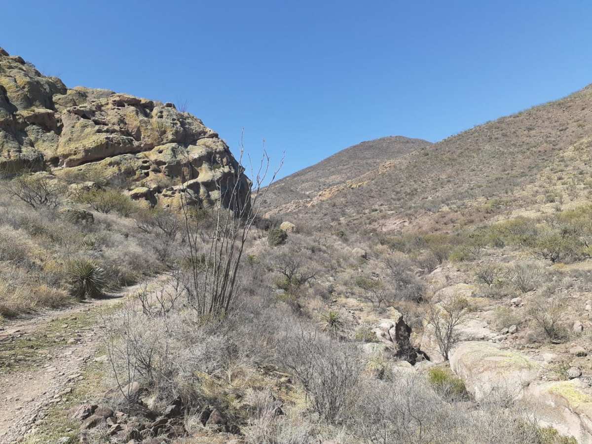 Horseshoe tank trail photo 3