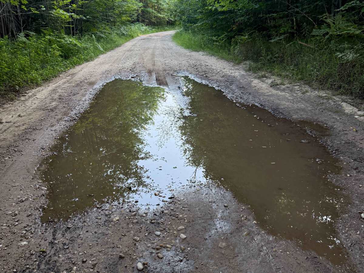 Plagany-Cedar Trail photo 5