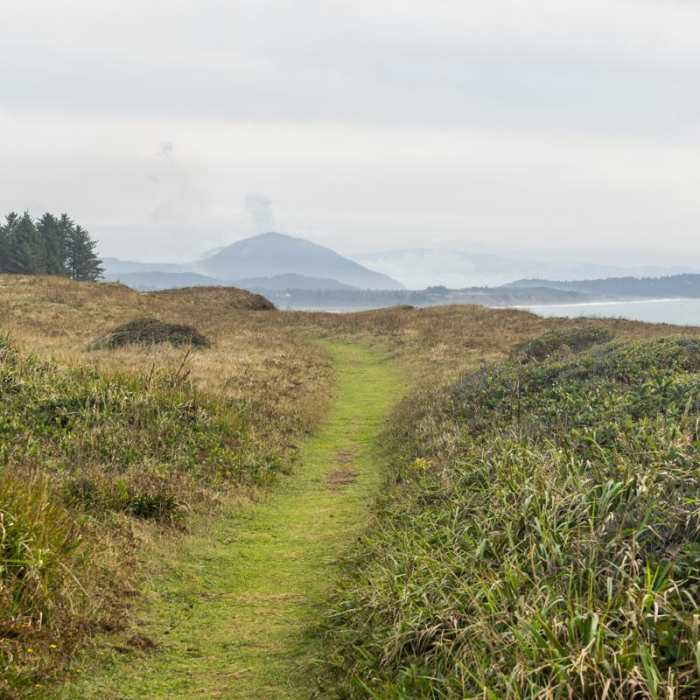 Near Cape Blanco Shore Trail