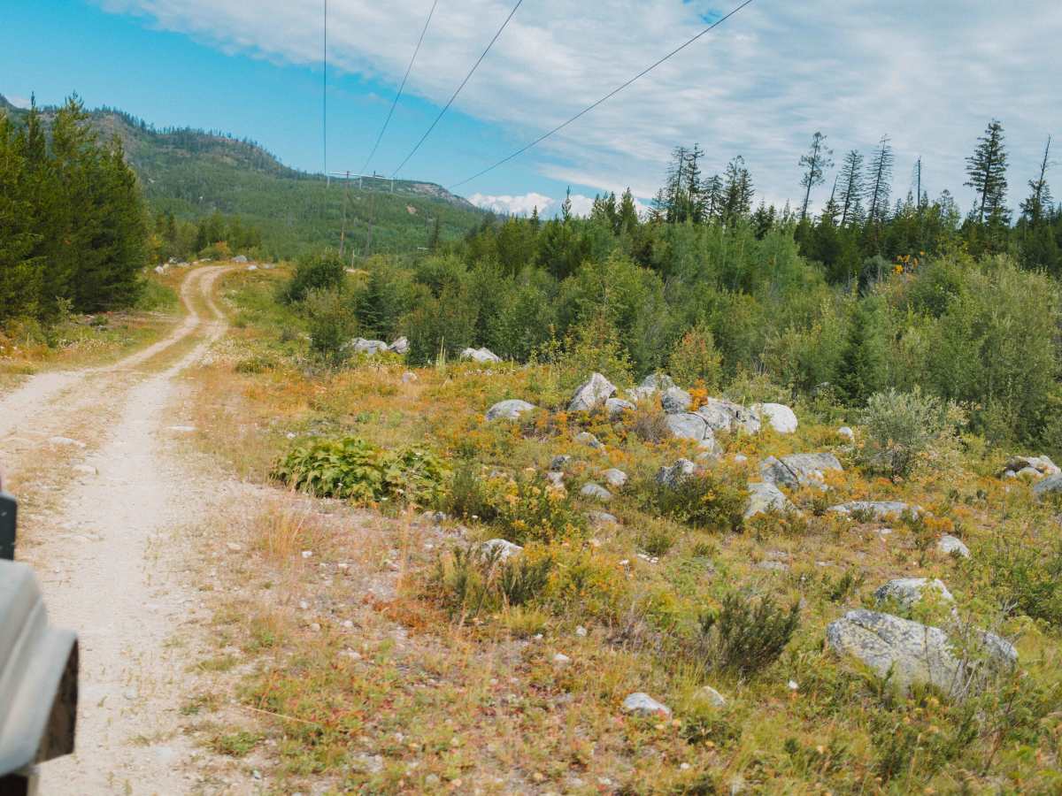 Powerline Arrow Trail photo 5