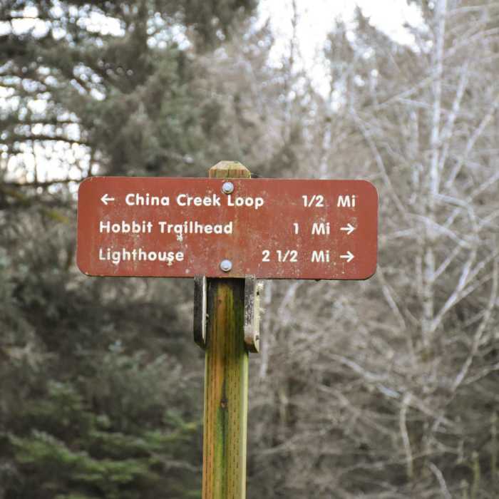 Near Heceta Head Trail