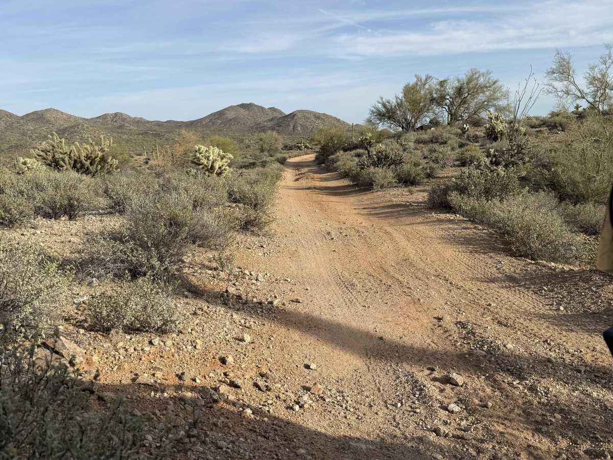 Trail 32022 photo 3