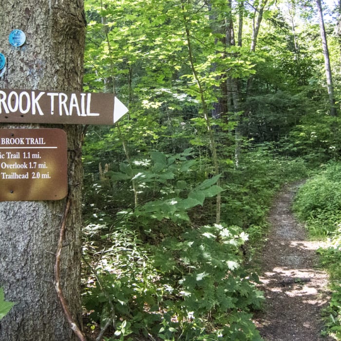 Near Sunset Rock Near Sunset Rock