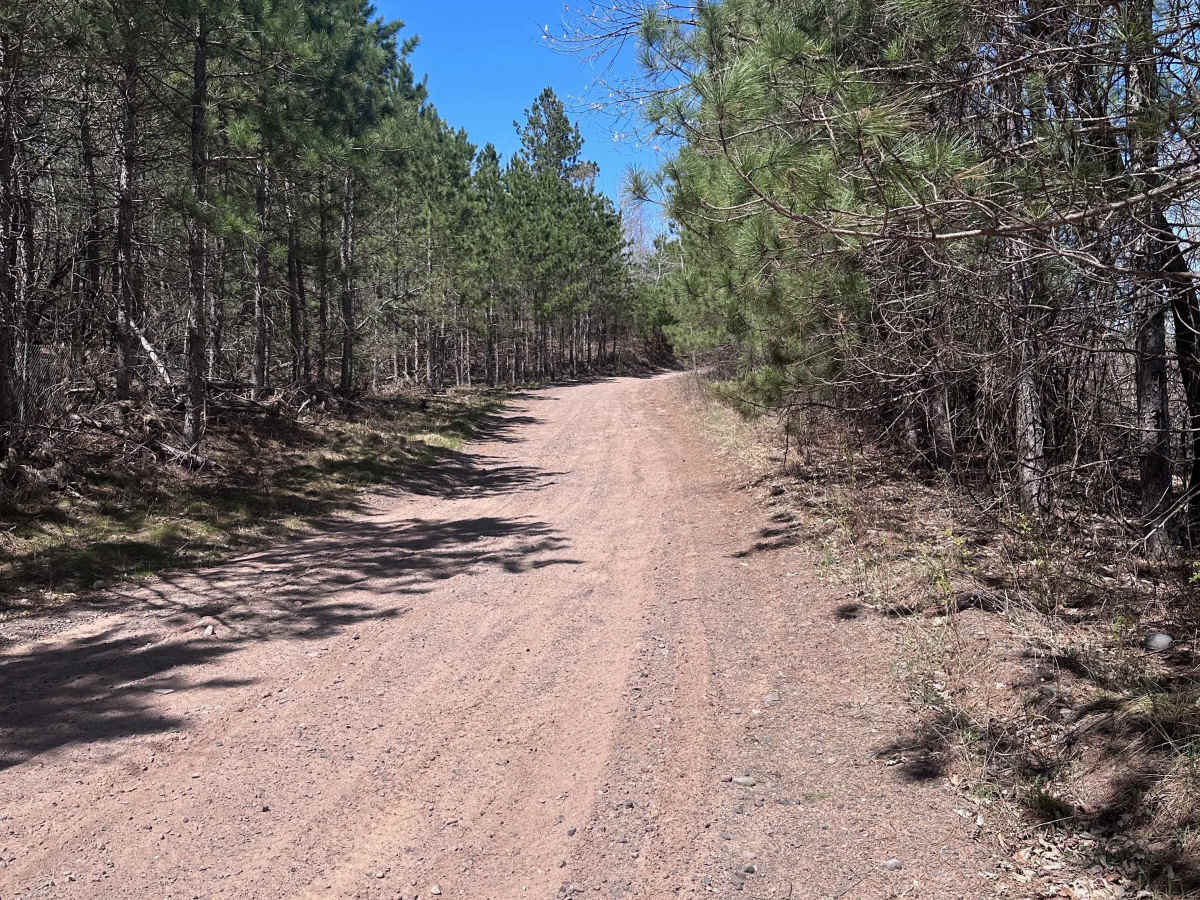 Grace Lake Trail photo 6