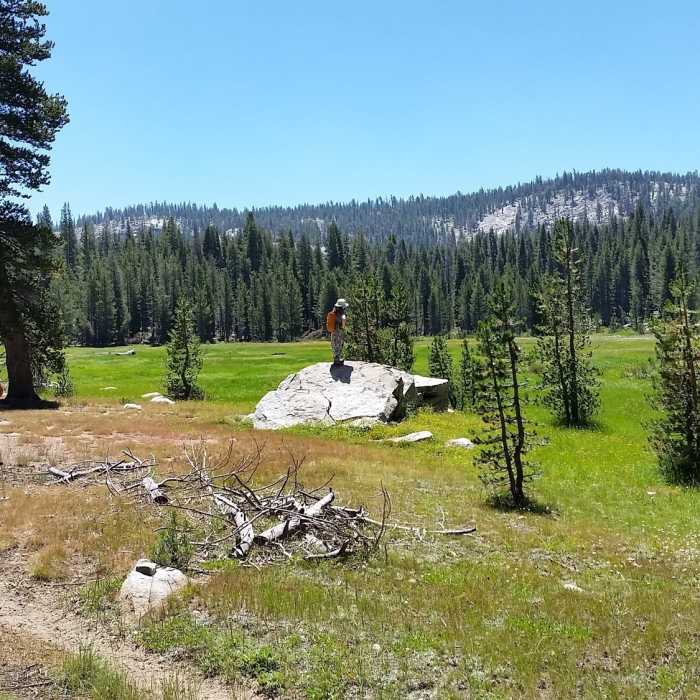 Near Atwell-Hockett Trail