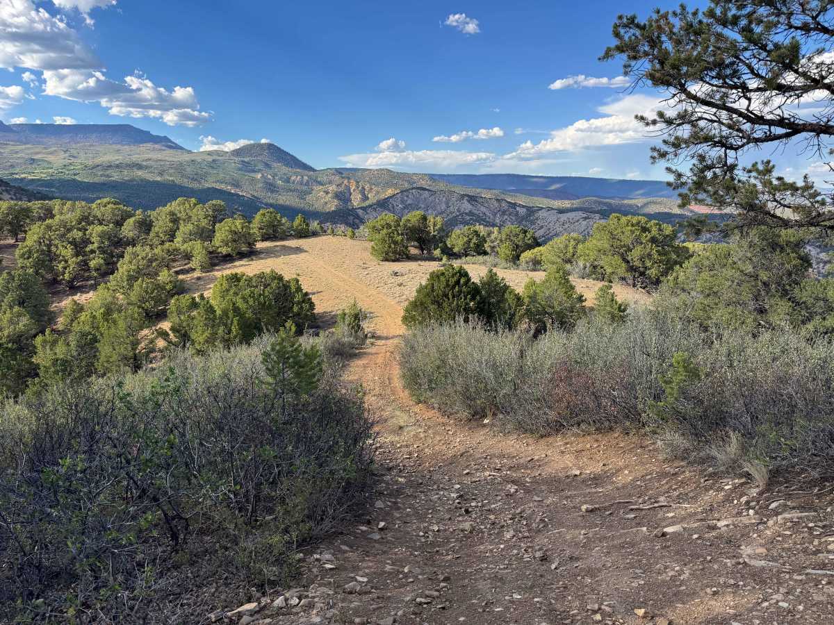 BLM 8453F trail photo