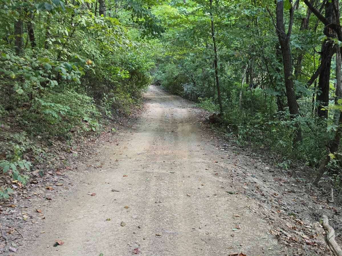 Trail 53 photo 5