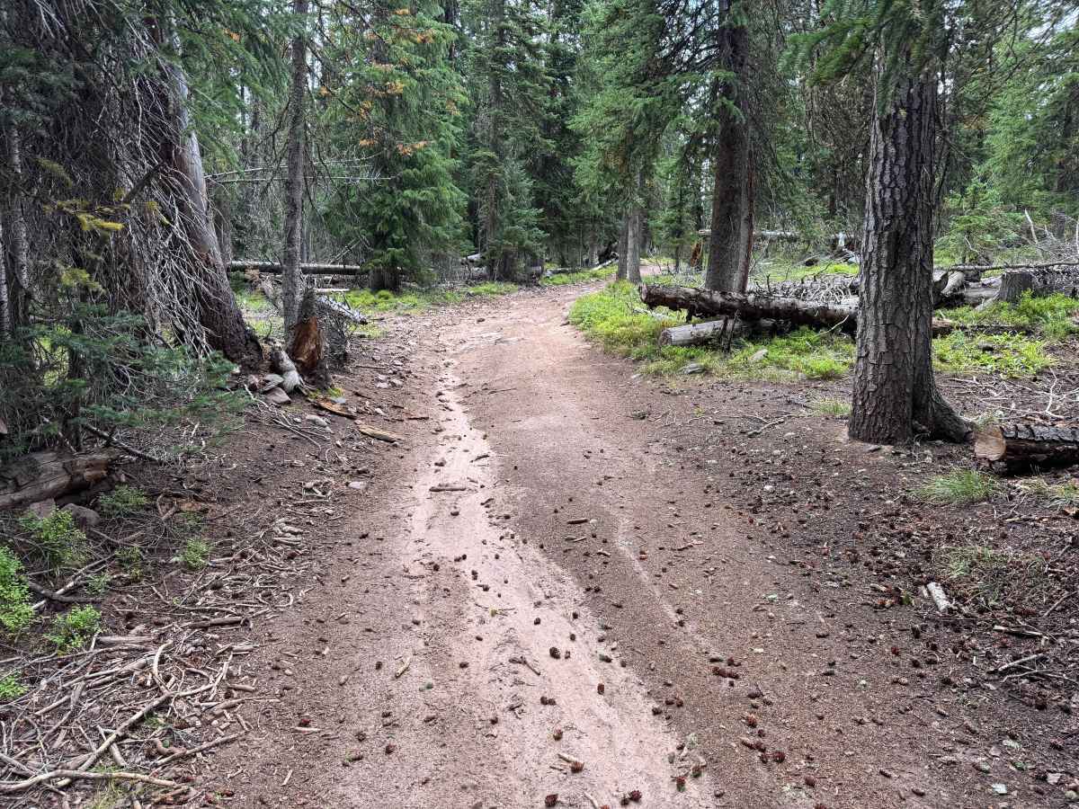 Moniger Road photo 4