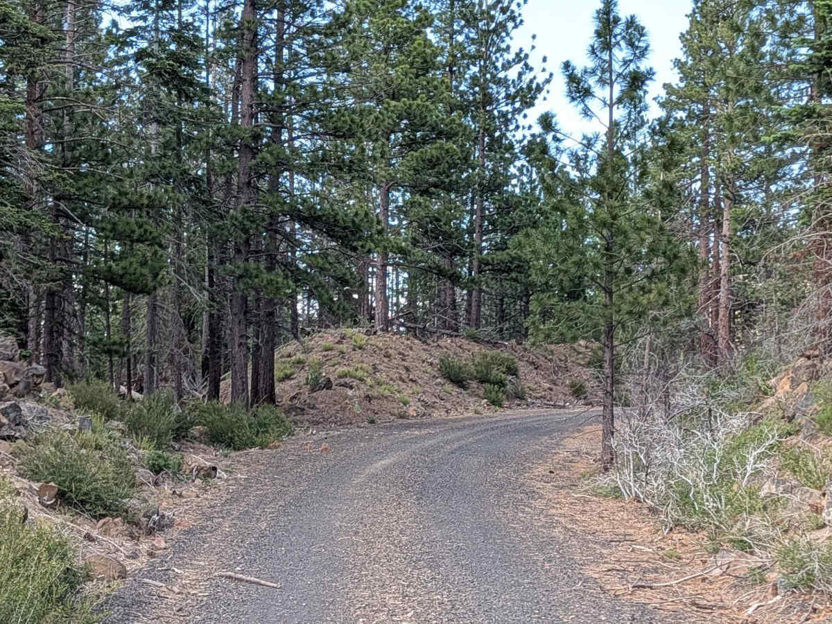 Tennant Lava Bed Road - FS 44N28 photo 2