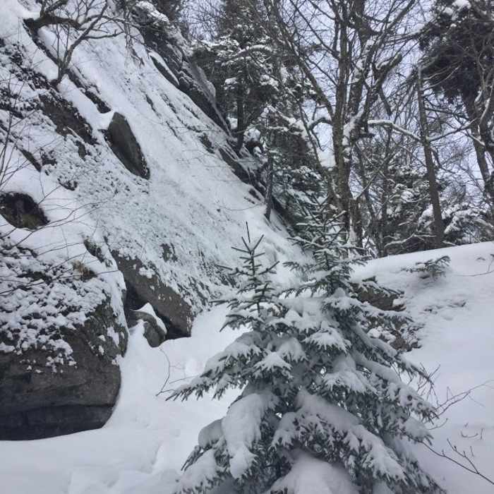 Near Friday Mountain