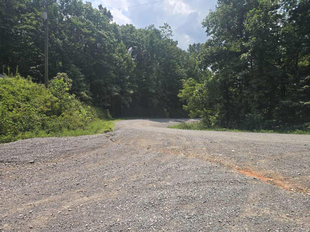 Ivydell Road trail photo