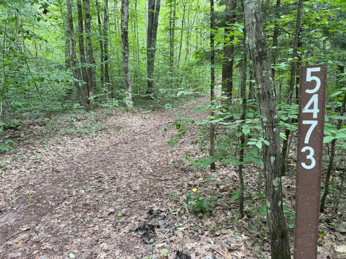NFS 5473 trail photo