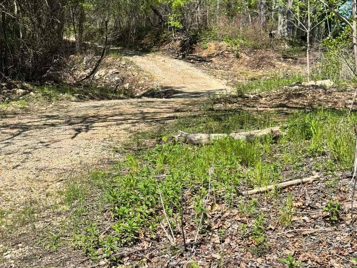 Mincy Food Plot Row trail photo