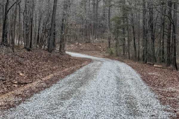 Log Lick Hollow