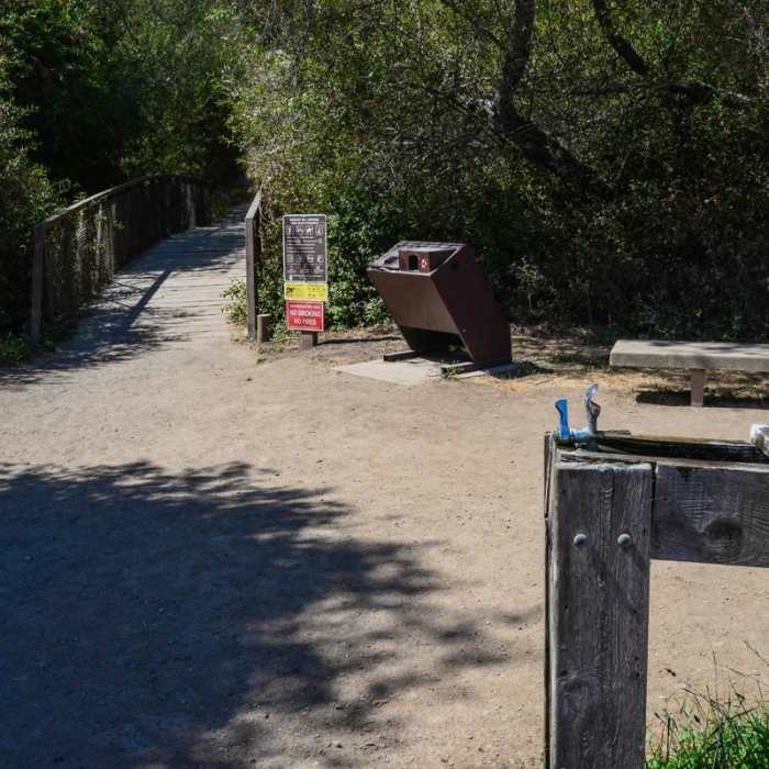 Near Lower Meadow Trail to Deer Hollow Farm