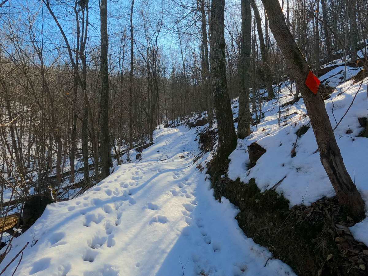 Sutton Bluff ATV 7 South - SB 7 photo 4