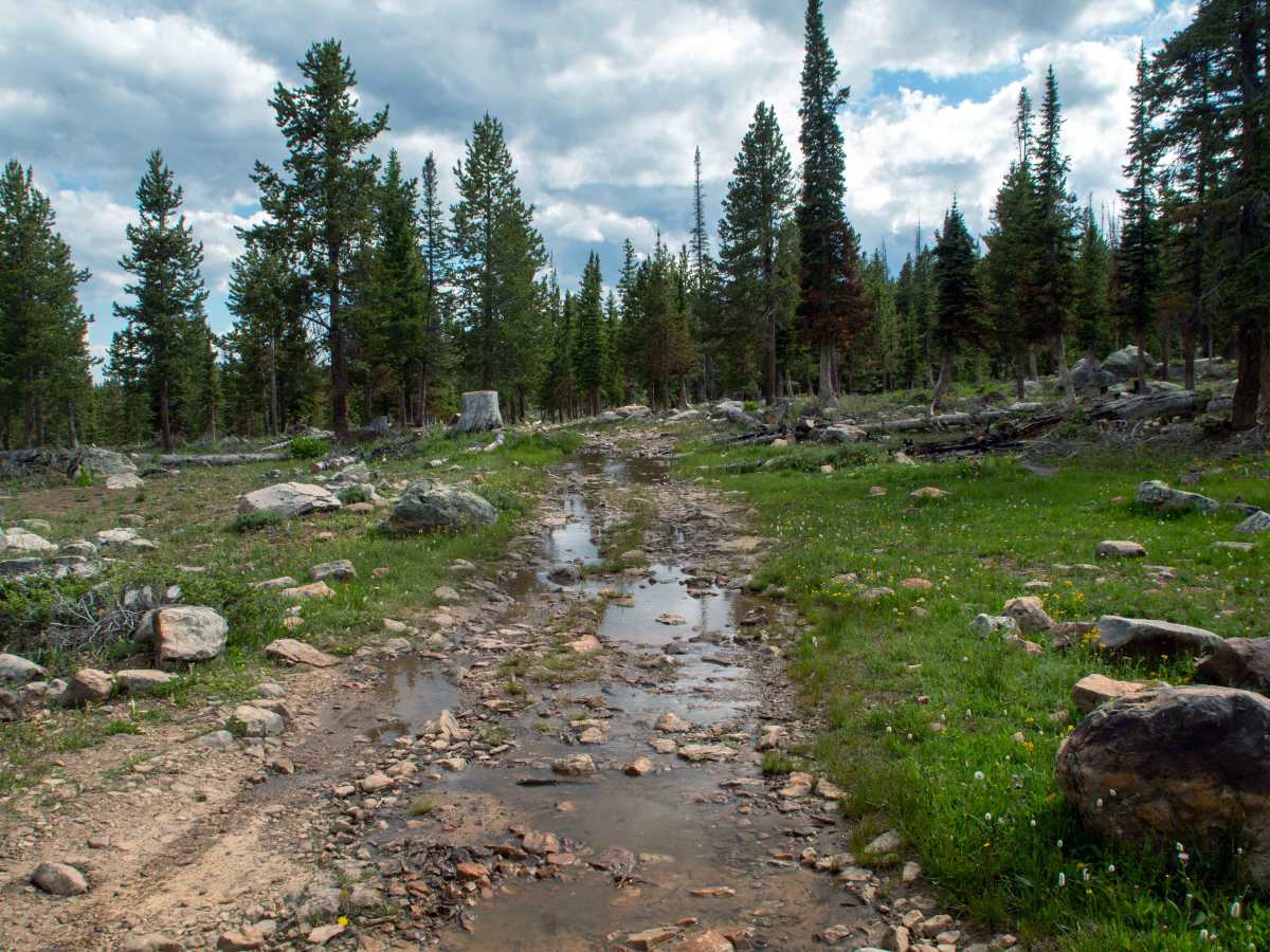 Blue Lake Loop - FS 80531 photo 3