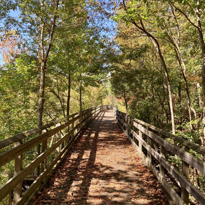 Near Cumberland River Bicentennial Trail Near Cumberland River Bicentennial Trail