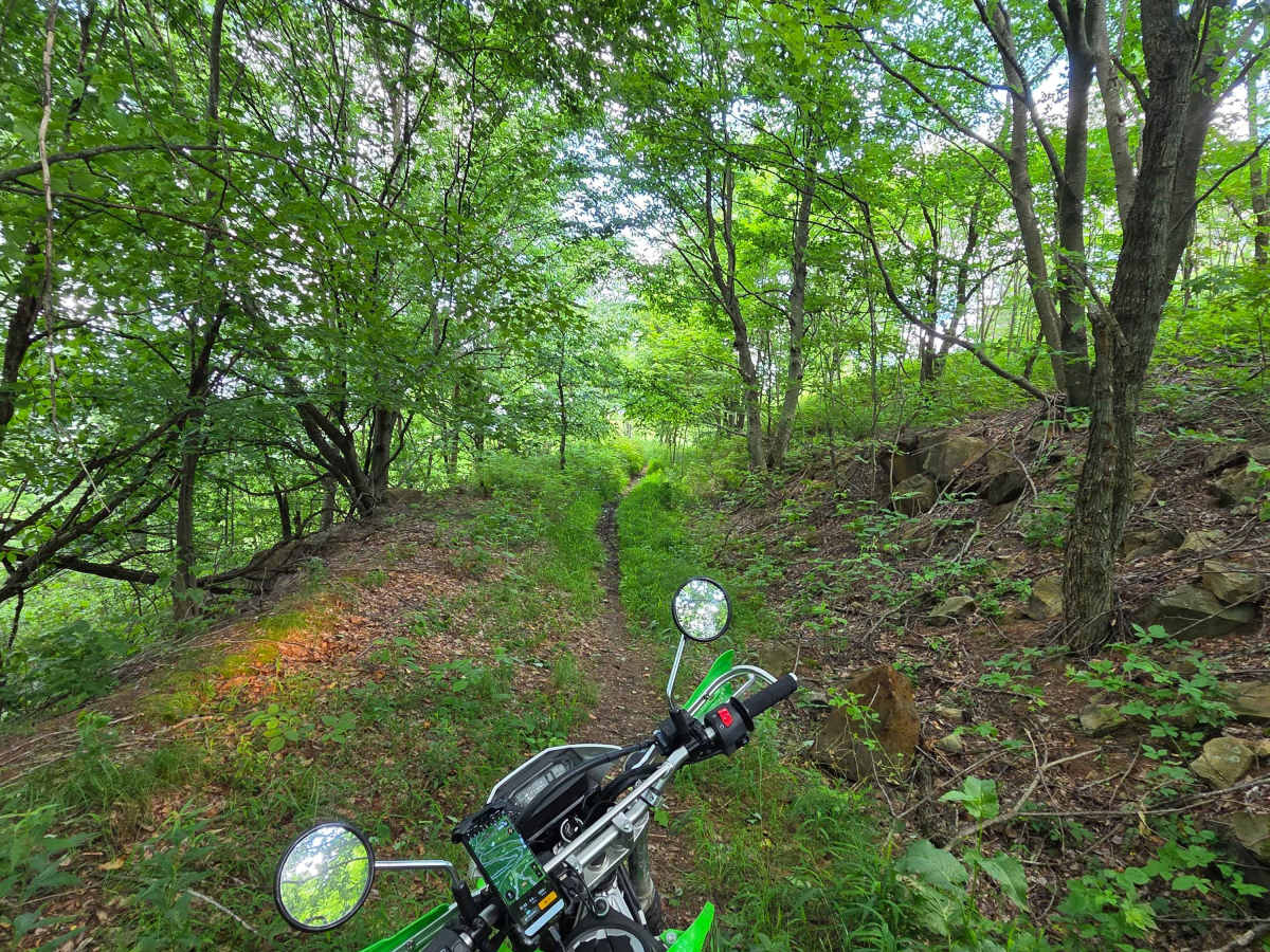 Single Track F photo 2