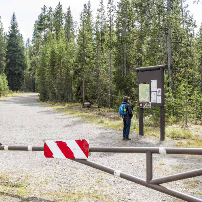 Near Lone Star Geyser