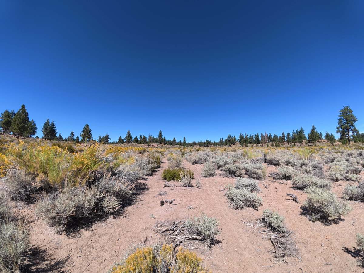 FS 4S55E trail photo