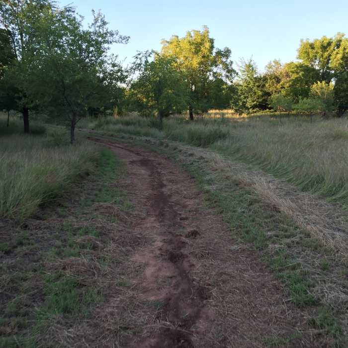Just some more trail Near Cheney Lake Main Trail