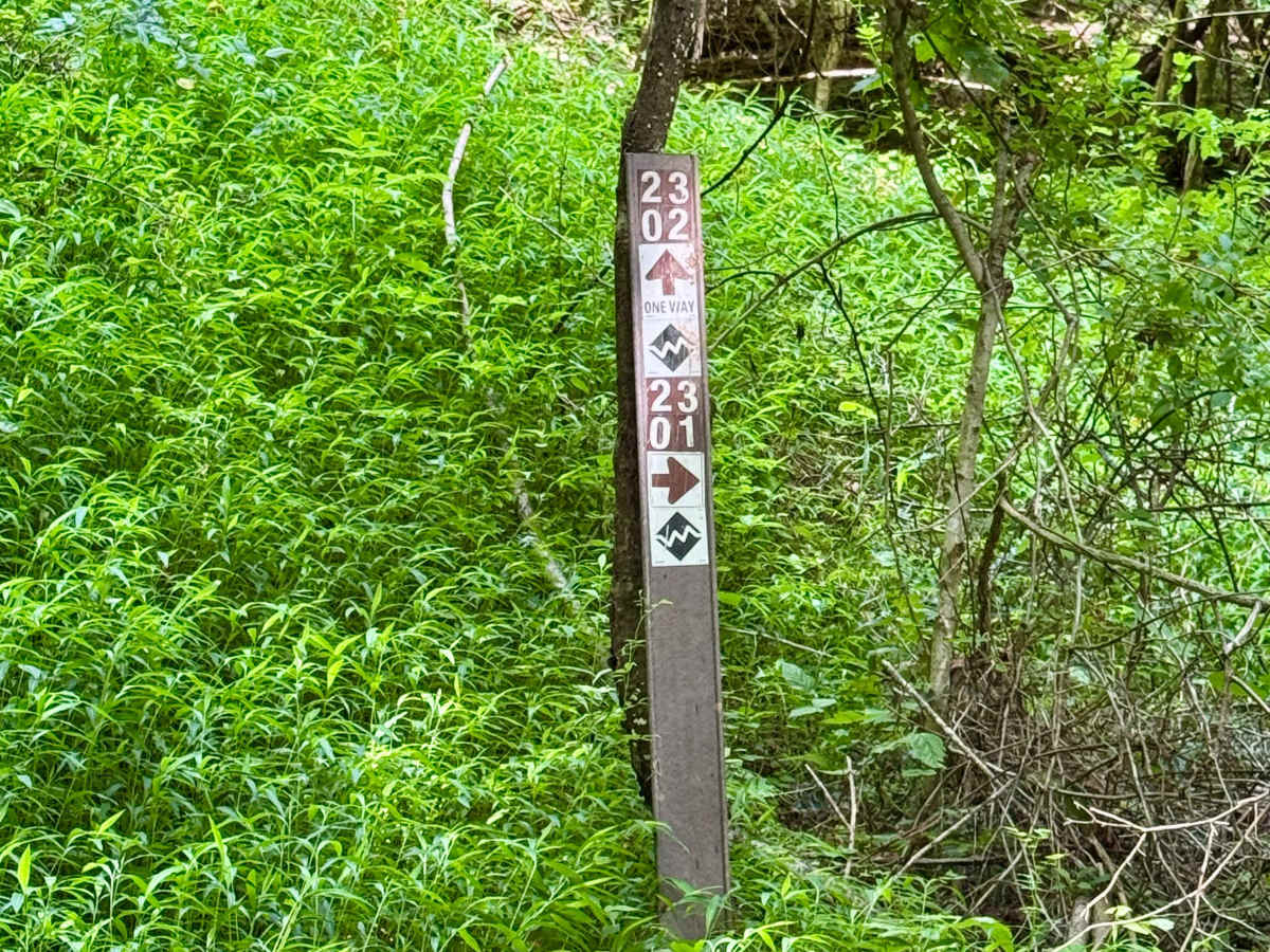 2302 Black One Way trail photo