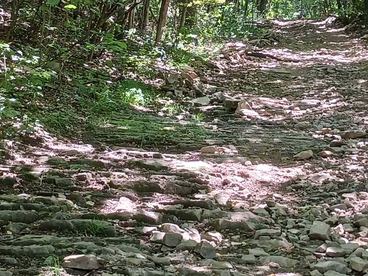 Holtz Hill Road - Rock Run Recreation Area photo 3