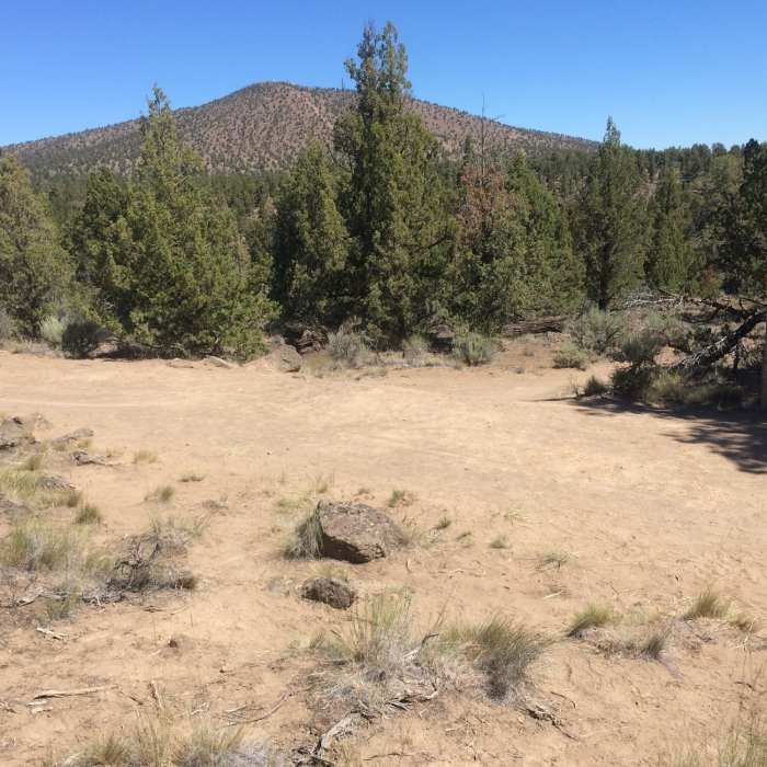 Mile post 13 Near Maston Inner Trail