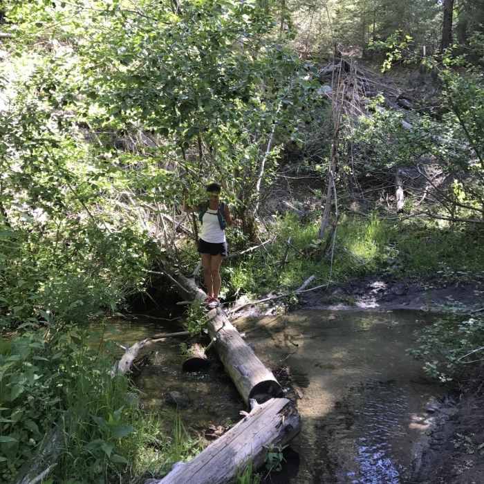Near Shingle Creek-Mahalo-Dry Creek Loop