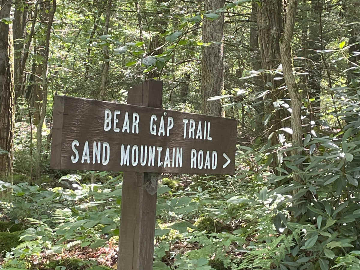 Spruce Run Road photo 5