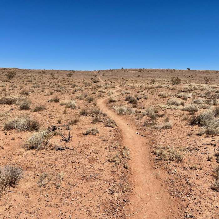 Near Continental Divide Trail : New Mexico Section 4