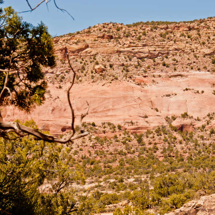 Near East Rock Creek Trail