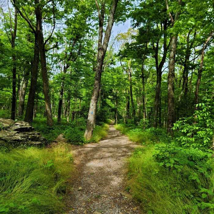 Near Hawksbill and Franklin Cliffs