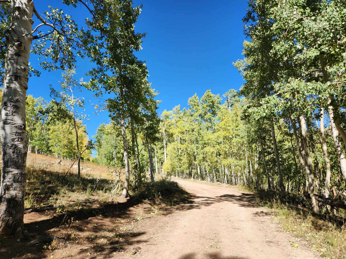 Old Ephraim Tunnel Trail - FS 52148 photo 5